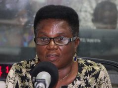 Maybe we want them to steal – Elizabeth Ohene writes… Elizabeth Ohene