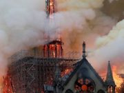 Notre-Dame: How an underwater forest in Ghana could help rebuild a Paris icon nostre dame